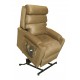 Fauteuil releveur bi-moteur Stylea II