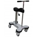 Rollator assis verticalisateur Modelito Wp Home Herdegen