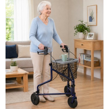 Déambulateur rollator 3 roues Delta