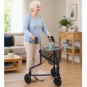 Déambulateur rollator 3 roues Delta